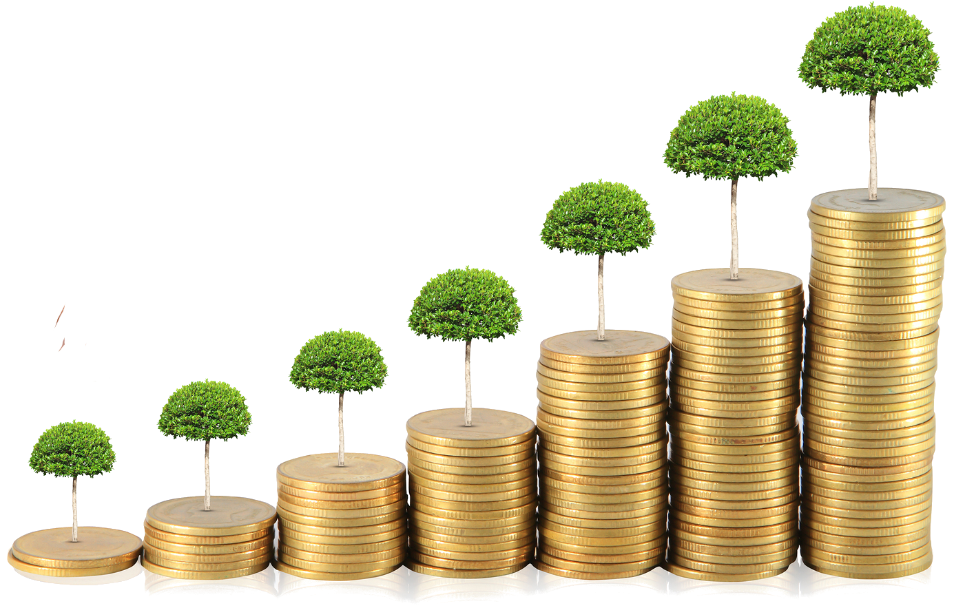 تخطيط الاستثمارات